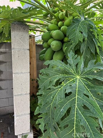 5704 Sultana Avenue D, Temple City, CA 91780