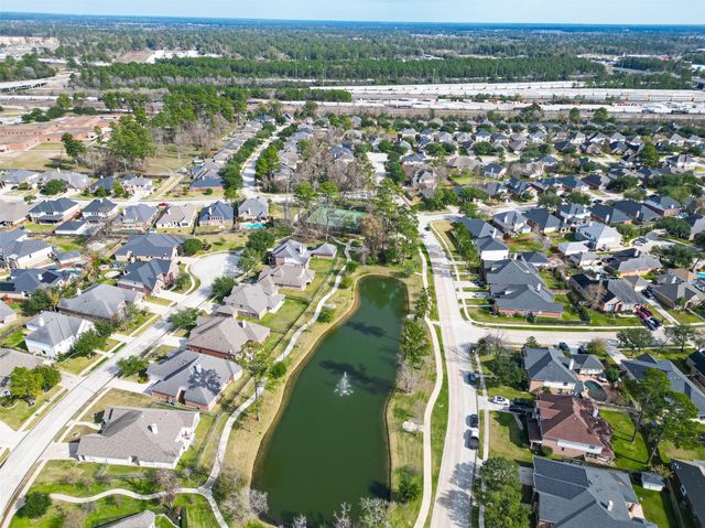 25515 Buffalo Springs Court, Spring, TX 77373