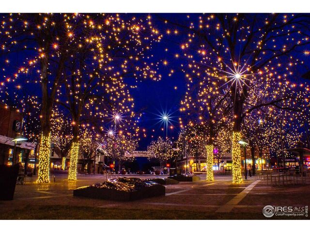 1221 University Ave A303, Fort Collins, CO 80521