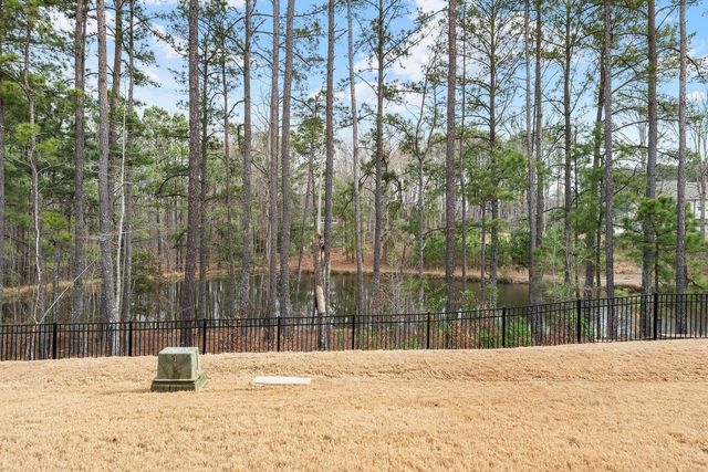 463 Autumn Rain Street, Cary, NC 27519