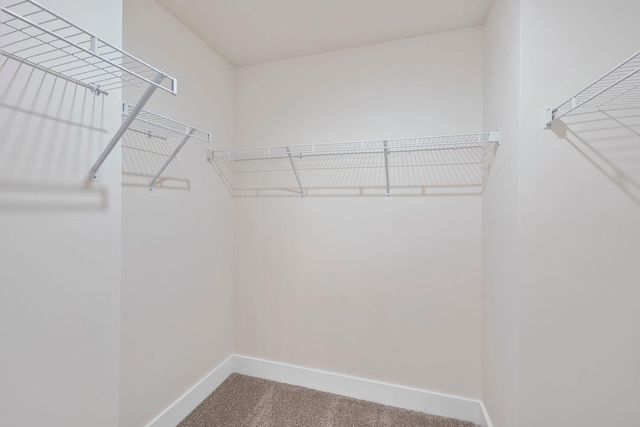 463 Autumn Rain Street, Cary, NC 27519