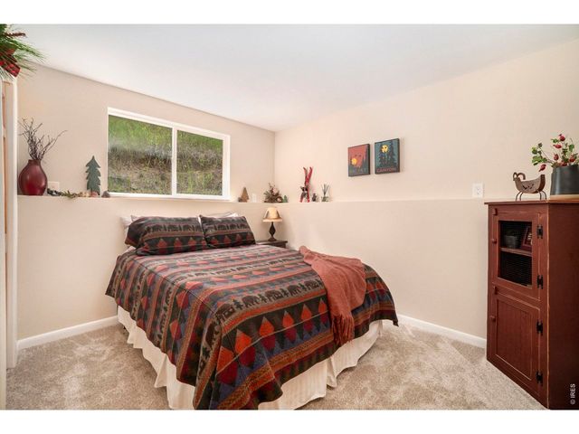 148 Big Pine Ln, Drake, CO 80515