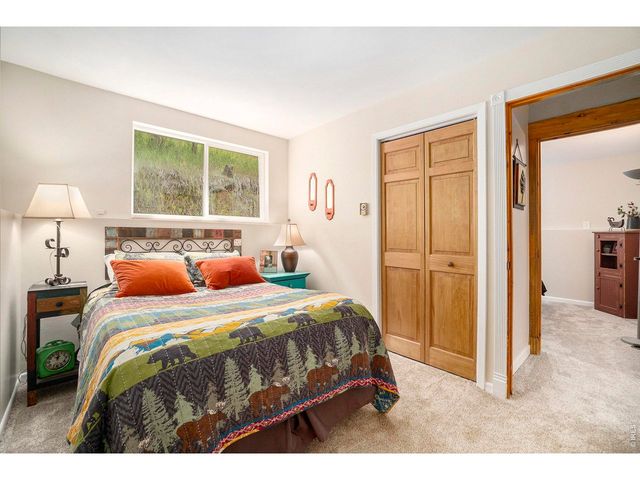 148 Big Pine Ln, Drake, CO 80515