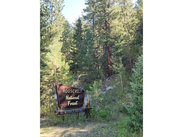 148 Big Pine Ln, Drake, CO 80515