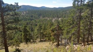 32778 Janelle Lane, Golden, CO 80403