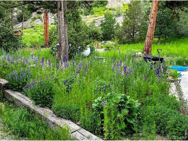 5 Mohawk Road, Lyons, CO 80540