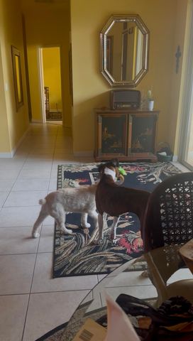 10521 SW Westlawn Boulevard N, Port St. Lucie, Port St Lucie, FL 34987