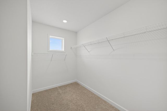 5448 Tallowtree Lane, Woodbury, MN 55129