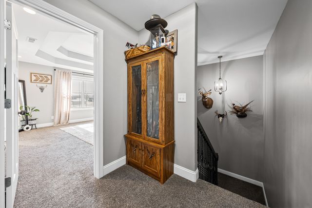 2810 Jim Taylor Rd, Woodlawn, TN 37191