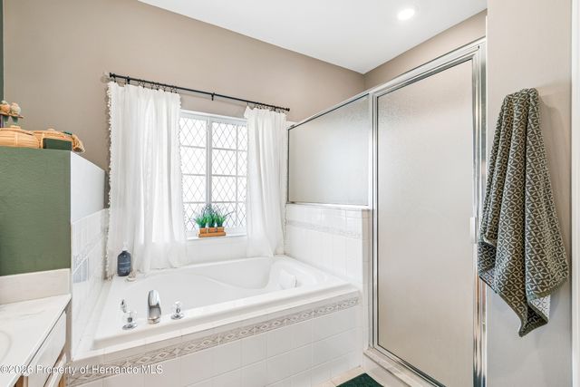 1616 Regal Mist Loop, Trinity, FL 34655
