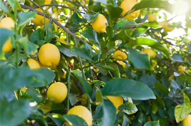 615 Kerilyn Lane, Hemet, CA 92544