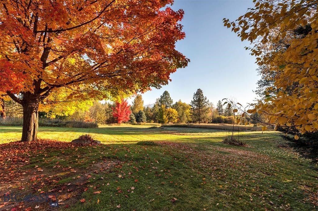 5600 Spring Mountain, Florence, MT 59833 photo 31