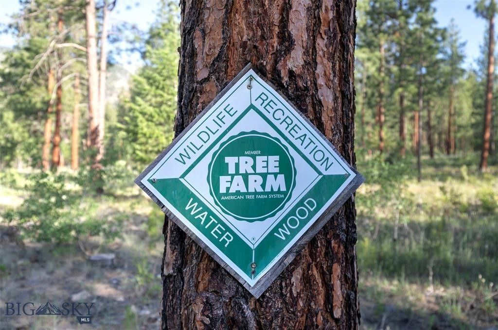 5600 Spring Mountain, Florence, MT 59833 photo 37