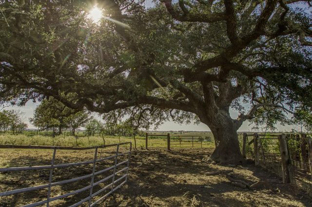 11361 Fm 2621, Brenham, TX 77833