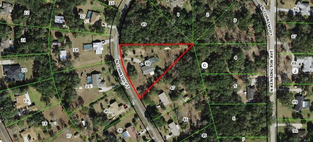 385 N CORNISH POINT, Lecanto, FL 34461