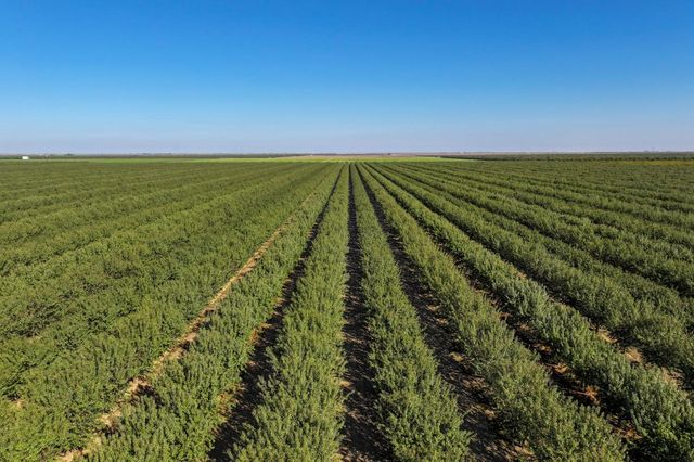 0 W Stutz Extension, Coalinga, CA 93210