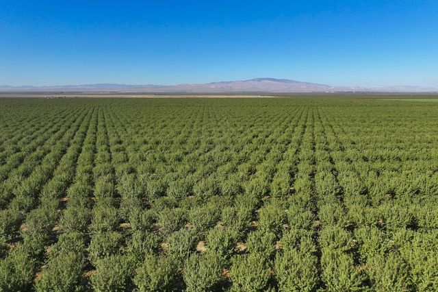 0 W Stutz Extension, Coalinga, CA 93210
