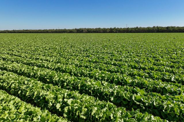 0 W Stutz Extension, Coalinga, CA 93210