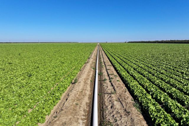 0 W Stutz Extension, Coalinga, CA 93210