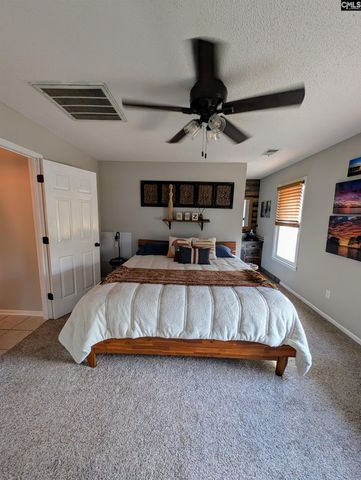 816 Maize Street, Lexington, SC 29072