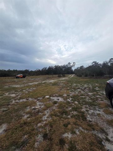 35238 MANUEL STREET, Webster, FL 33597