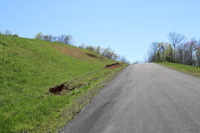 0 Mill Drive, Decatur, TN 37322