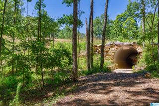 3080 OAKRIDGE WAY, Chelsea, AL 35043