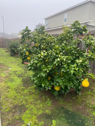 3765 N Pearwood Avenue, Fresno, CA 93727