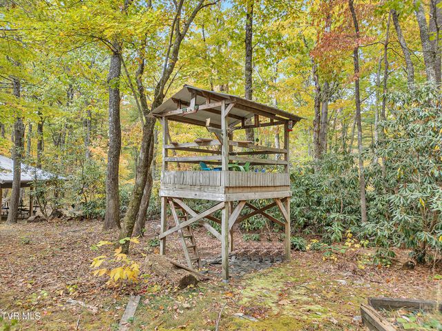 300 Peavine Way, Greeneville, TN 37743