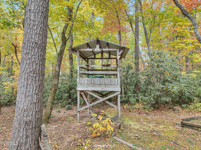 300 Peavine Way, Greeneville, TN 37743