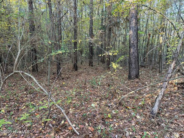Lot 95-77 Crocker Hill Road, Elizabeth City, NC 27909