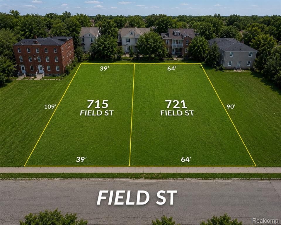 715 Field Street, Detroit, MI 48214