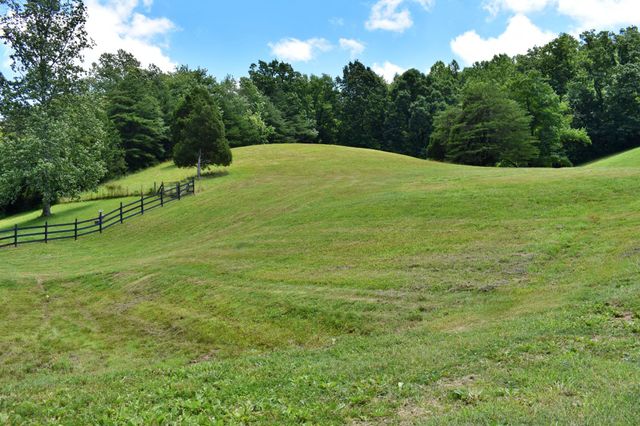 1319 Ideal Valley Road, Spring City, TN 37381