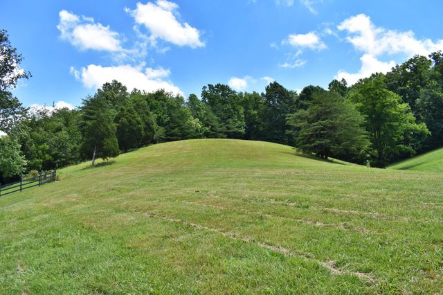 1319 Ideal Valley Road, Spring City, TN 37381