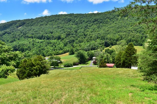 1319 Ideal Valley Road, Spring City, TN 37381