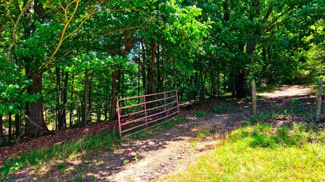 1319 Ideal Valley Road, Spring City, TN 37381