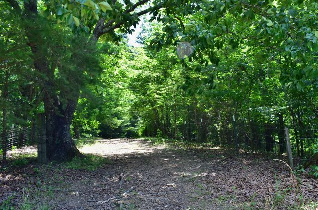 1319 Ideal Valley Road, Spring City, TN 37381