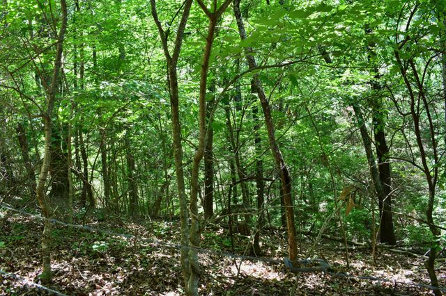 1319 Ideal Valley Road, Spring City, TN 37381