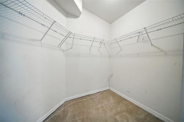 18312 SNOWDONIA DRIVE, Land O Lakes, FL 34638