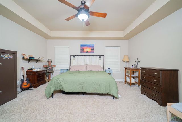 350 Shannas Trl, Tatum, TX 75691