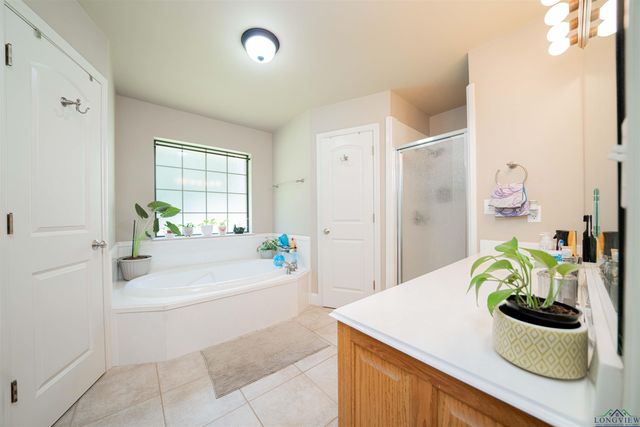 350 Shannas Trl, Tatum, TX 75691