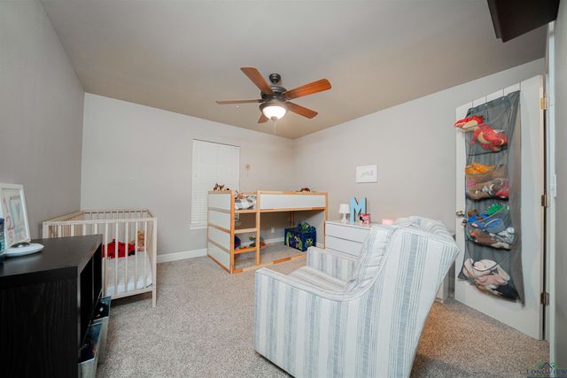 350 Shannas Trl, Tatum, TX 75691