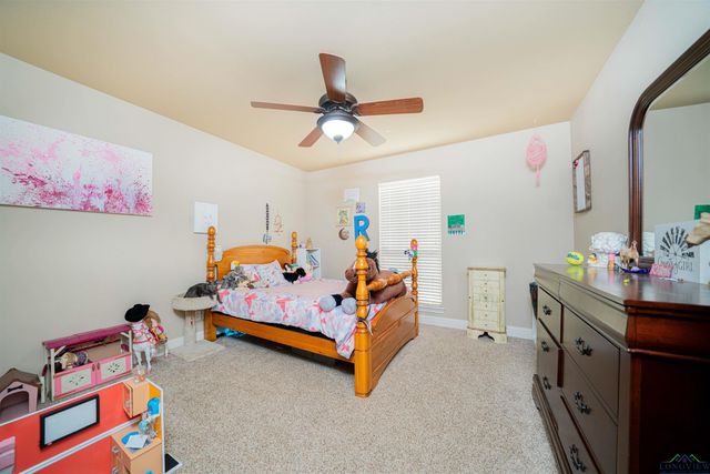 350 Shannas Trl, Tatum, TX 75691