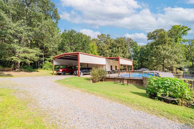 350 Shannas Trl, Tatum, TX 75691