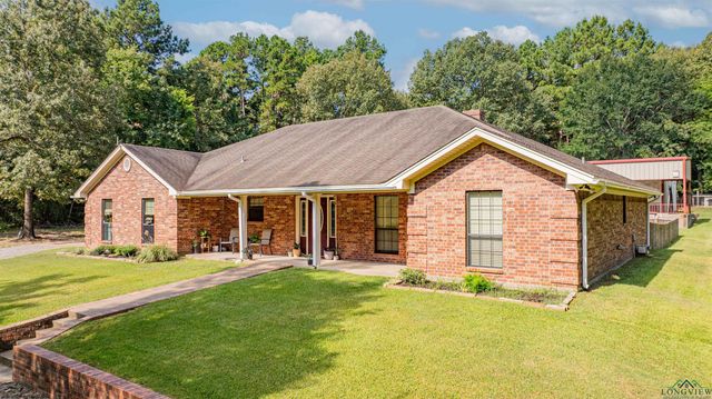 350 Shannas Trl, Tatum, TX 75691