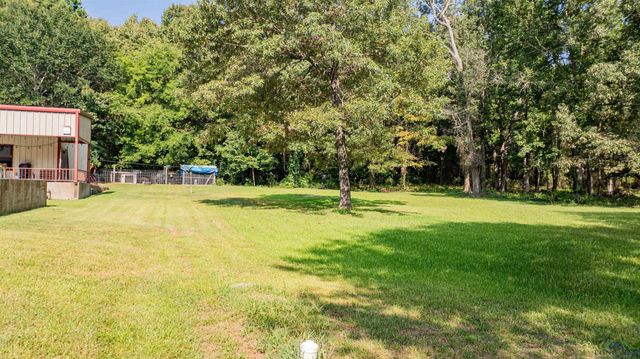 350 Shannas Trl, Tatum, TX 75691