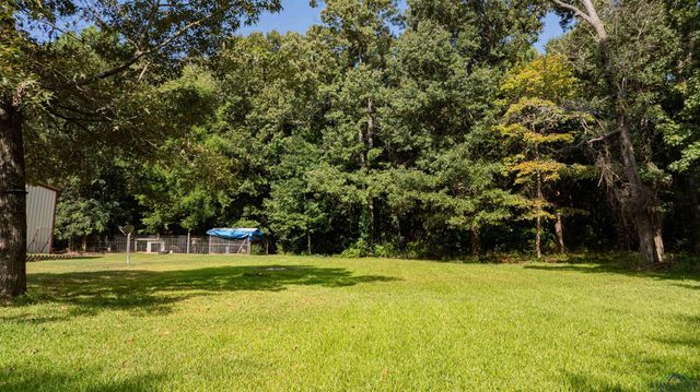 350 Shannas Trl, Tatum, TX 75691