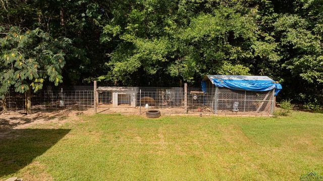 350 Shannas Trl, Tatum, TX 75691