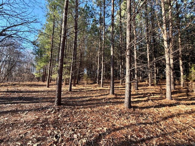 0 Dillards Hill RD, Union Hall, VA 24176