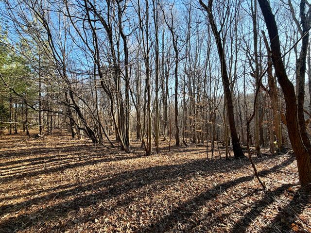0 Dillards Hill RD, Union Hall, VA 24176